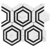 Bianco Carrara Hexagon Marble Mosaic with Nero Marquina Geometric Strips, Honed