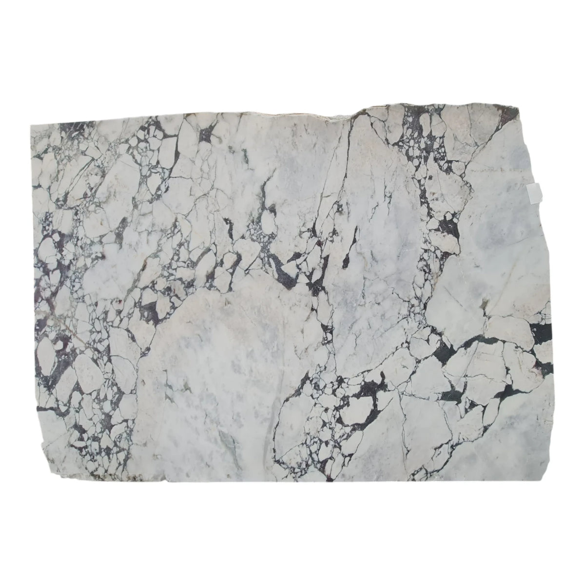 Calacatta Viola Honed Marble Slab - 1900x2620x30mm