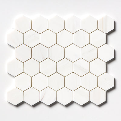 Bianco Dolomiti Honed Hexagon Marble Mosaic 48x48x10mm Natural Stone Tile