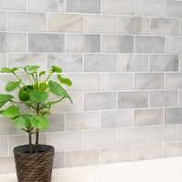 Marbre de métro poli blanc de Carrare T 50x100x10mm